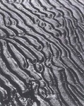 Wet Sands, Camargue, 1965 by Lucien Clergue