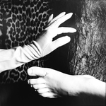 Hand & Foot by Jenny Lynn
