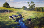 Cows by Harley Bartlett