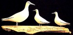 Three Carved Seagulls on Driftwood
